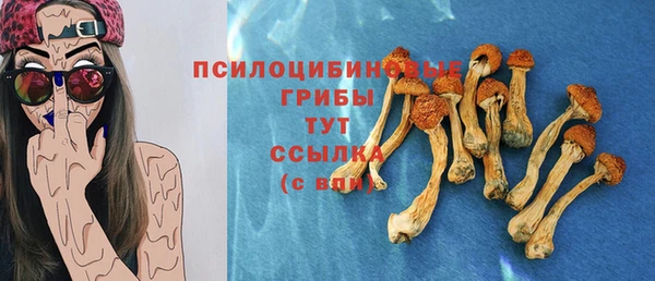 шишки Бугульма