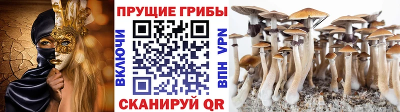 Псилоцибиновые грибы мицелий  Купить закладки  Партизанск 
